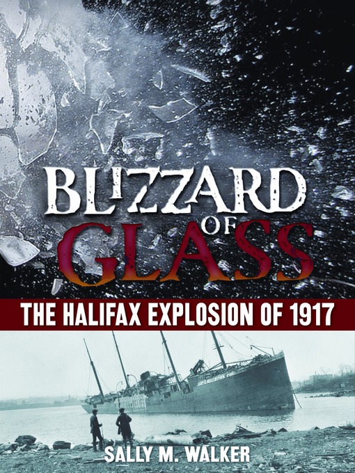 Title details for Blizzard of Glass by Sally M. Walker - Available